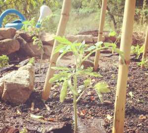 masia-piu-off-grid