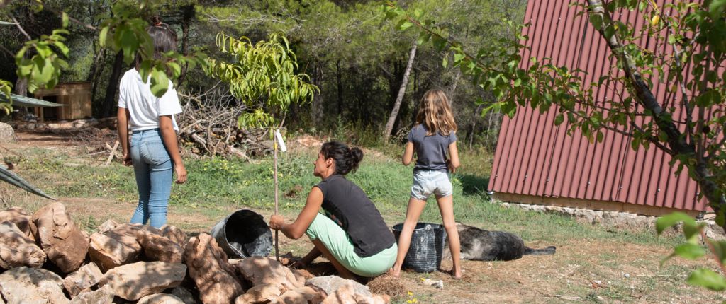 masia-piu-creative-farm